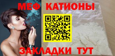 шишки Дубна