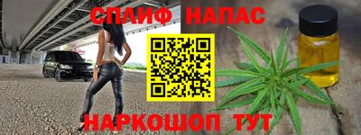 шишки Дубна