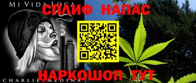 шишки Дубна