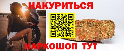 шишки Дубна