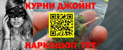 шишки Дубна
