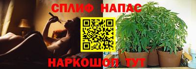spice Донской