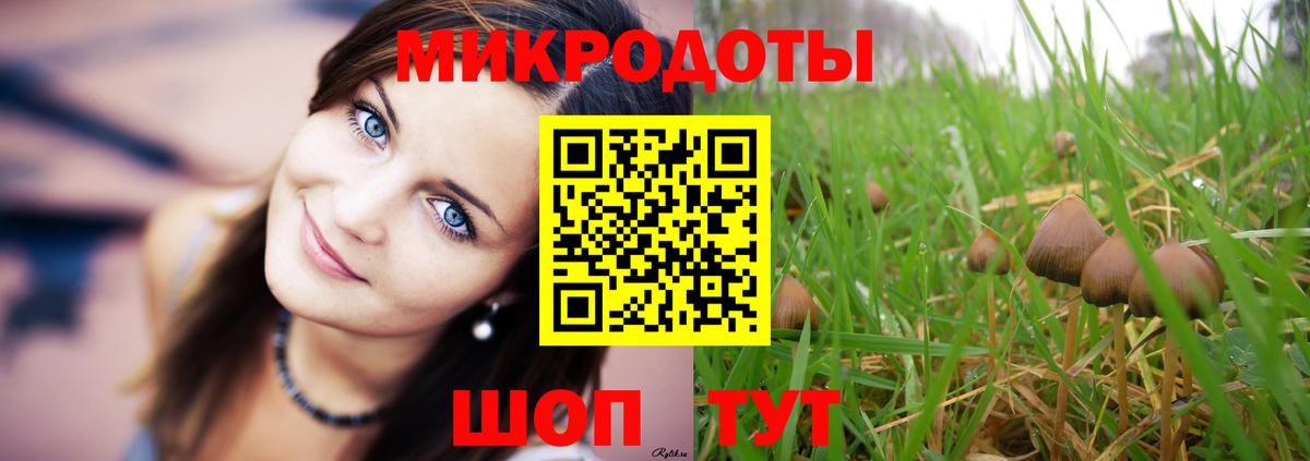 Псилоцибиновые грибы Psilocybine cubensis Лиски