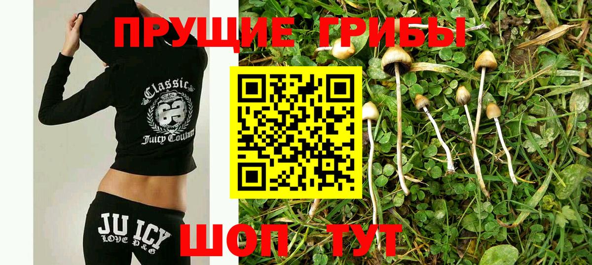 Лиски  Галлюциногенные грибы Magic Shrooms  Вход с VPN 